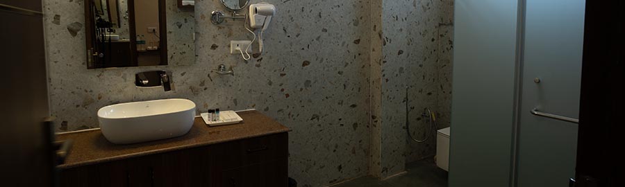 Ficus Suite — photo 3