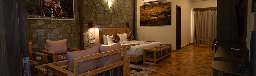 Ficus Suite — photo 1